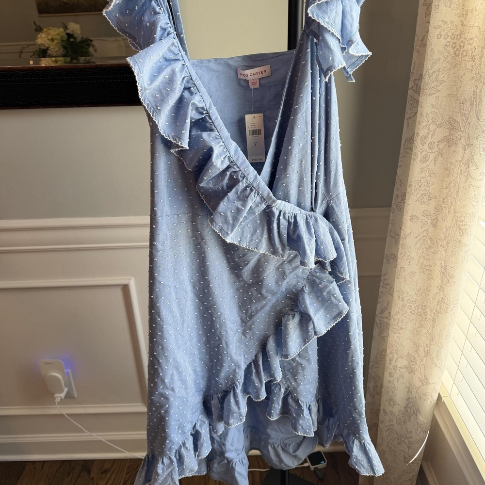 Red Carter Anthropologie Dress Womens Large Blue Ruffle Sundress Polka Dot Lined